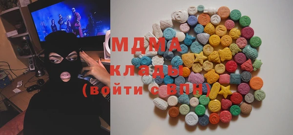 гидра Богородск