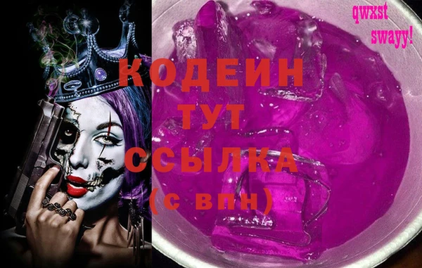 индика Бугульма