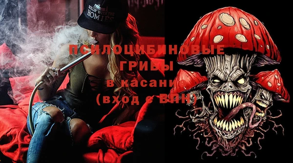 индика Бугульма