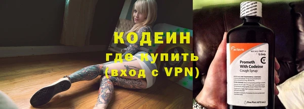 индика Бугульма