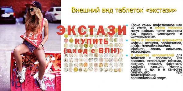 индика Бугульма