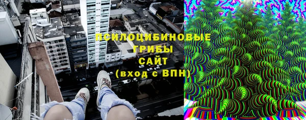 гидра Богородск