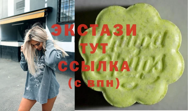 гидра Богородск