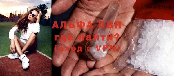 гидра Богородск