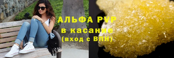 шишки Богданович